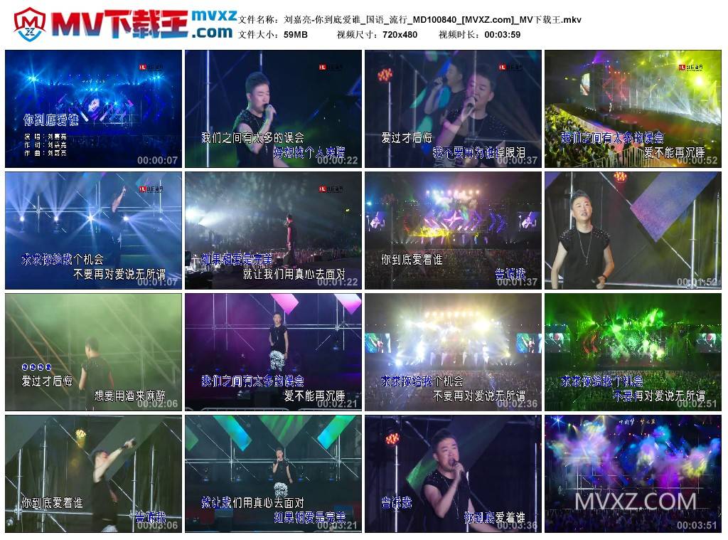 刘嘉亮-你到底爱谁_国语_流行_MD100840